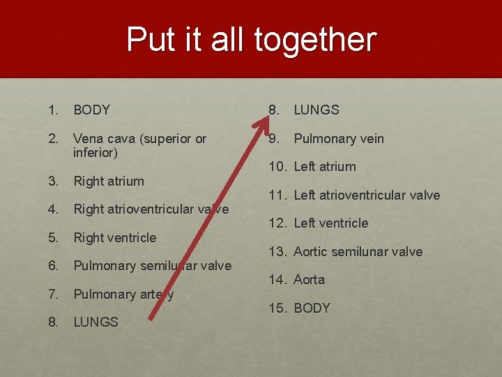 Put it all together 1. BODY 8. LUNGS 2. Vena cava (superior or inferior)