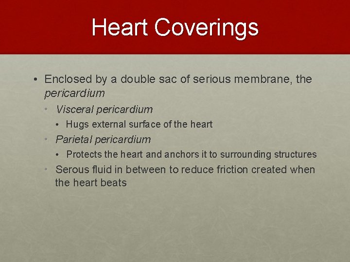 Heart Coverings • Enclosed by a double sac of serious membrane, the pericardium •