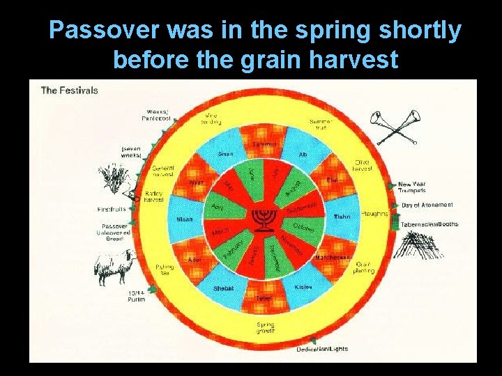 Passover was in the spring shortly before the grain harvest 