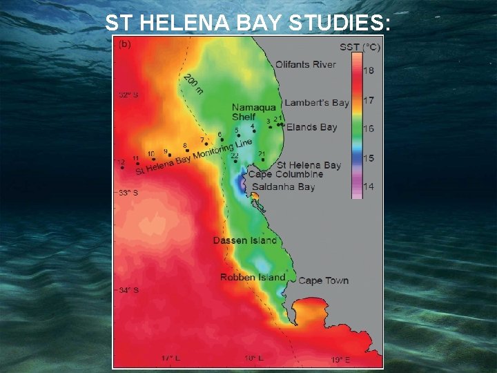 ST HELENA BAY STUDIES: 