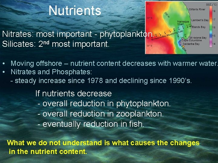 Nutrients Nitrates: most important - phytoplankton. Silicates: 2 nd most important. • Moving offshore