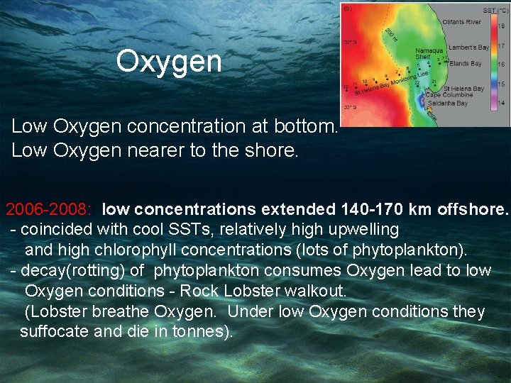 Oxygen Low Oxygen concentration at bottom. Low Oxygen nearer to the shore. 2006 -2008: