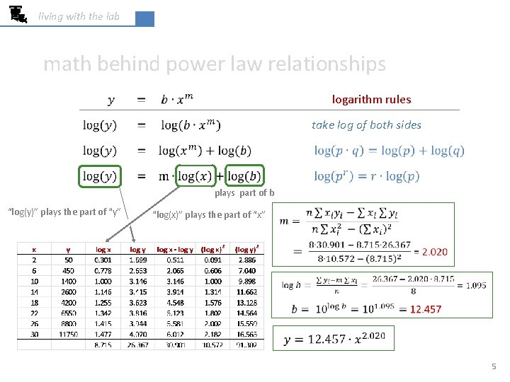 living with the lab math behind power law relationships logarithm rules take log of