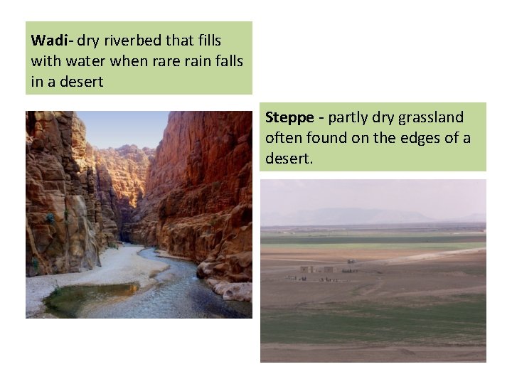 Wadi- dry riverbed that fills with water when rare rain falls in a desert