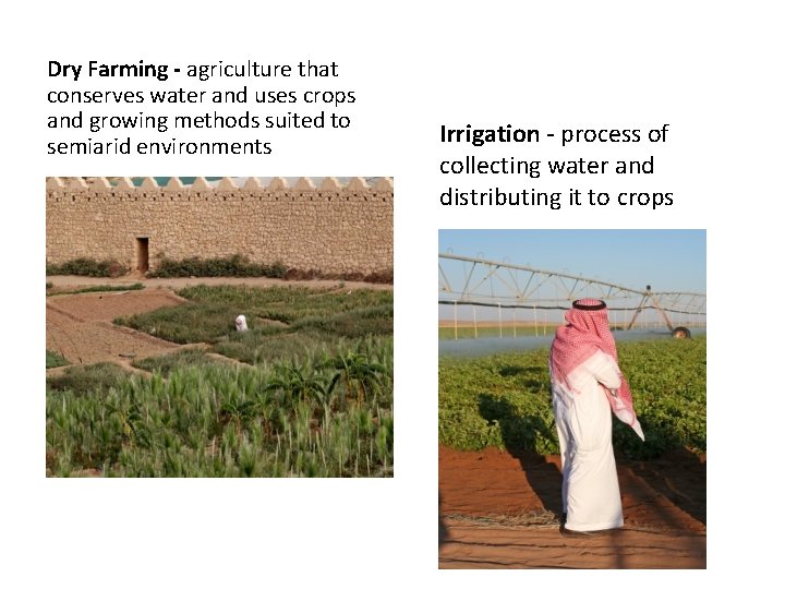 Dry Farming - agriculture that conserves water and uses crops and growing methods suited
