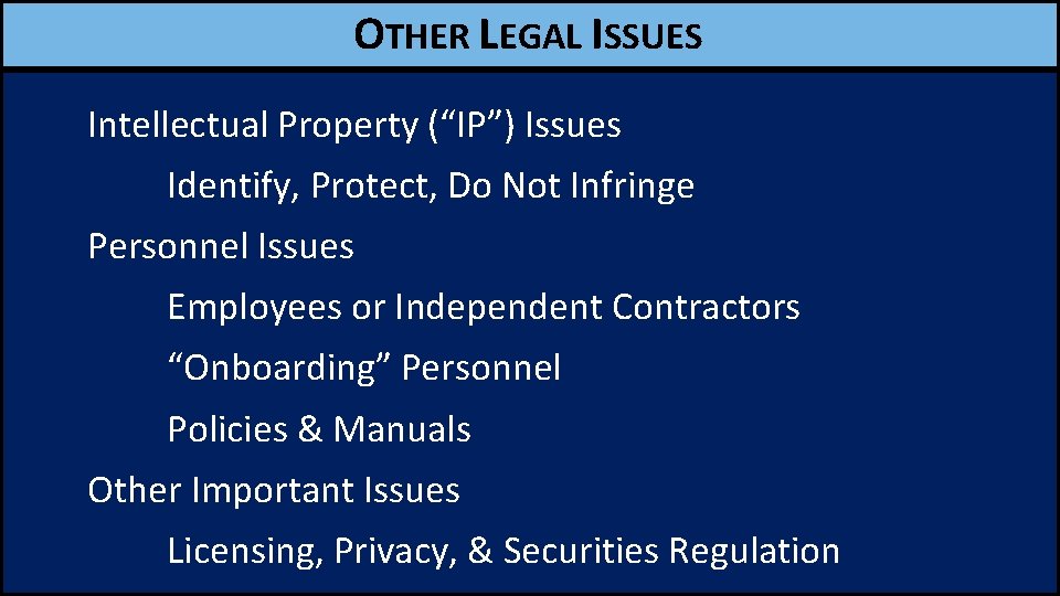 OTHER LEGAL ISSUES Intellectual Property (“IP”) Issues Identify, Protect, Do Not Infringe Personnel Issues