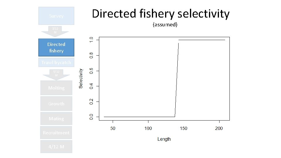 Survey 3/12 M Directed fishery Trawl bycatch 5/12 M Molting Growth Mating Recruitment 4/12