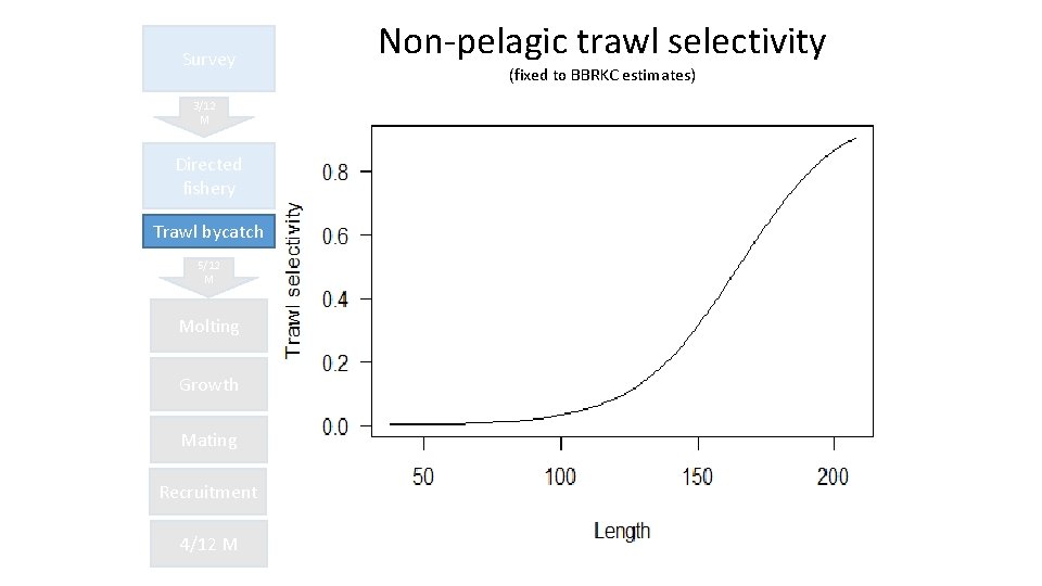 Survey 3/12 M Directed fishery Trawl bycatch 5/12 M Molting Growth Mating Recruitment 4/12