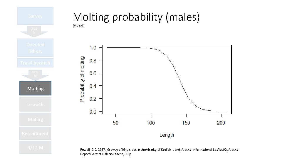 Survey 3/12 M Molting probability (males) [fixed] Directed fishery Trawl bycatch 5/12 M Molting