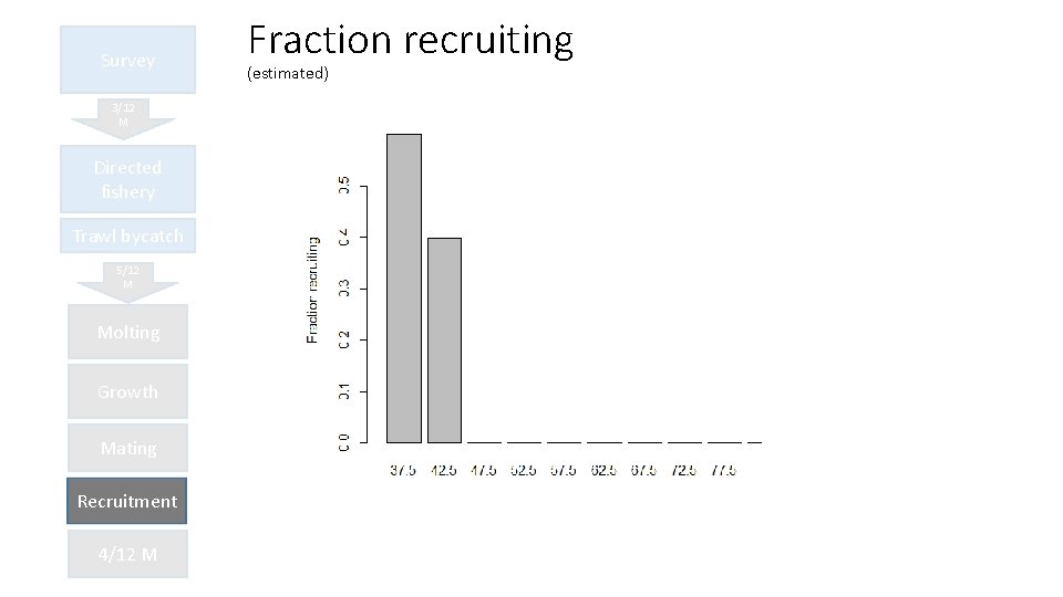 Survey 3/12 M Directed fishery Trawl bycatch 5/12 M Molting Growth Mating Recruitment 4/12