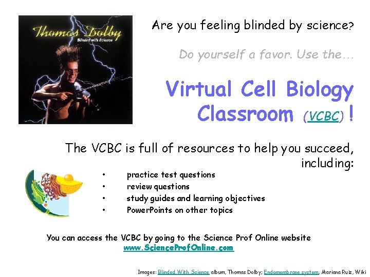 Are you feeling blinded by science? Do yourself a favor. Use the… Virtual Cell
