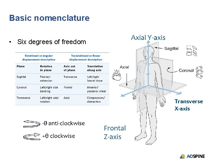 Basic nomenclature • Six degrees of freedom Transverse X-axis 