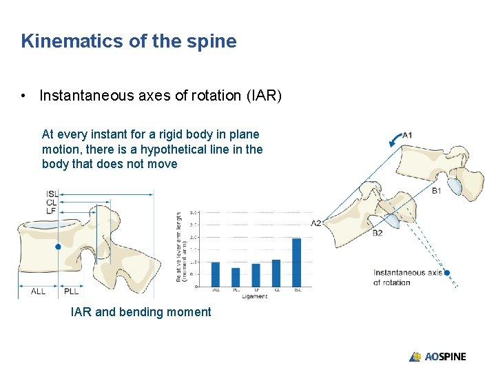 Kinematics of the spine • Instantaneous axes of rotation (IAR) At every instant for