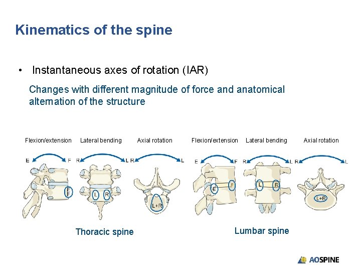 Kinematics of the spine • Instantaneous axes of rotation (IAR) Changes with different magnitude