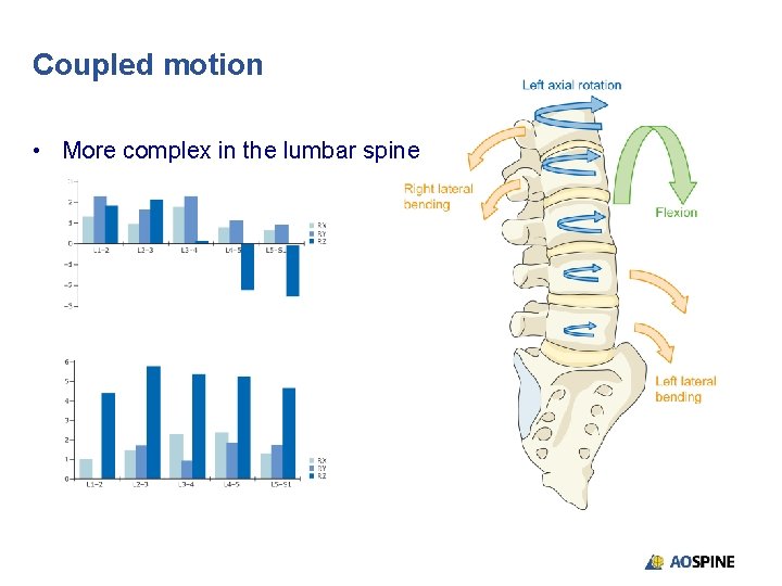 Coupled motion • More complex in the lumbar spine 