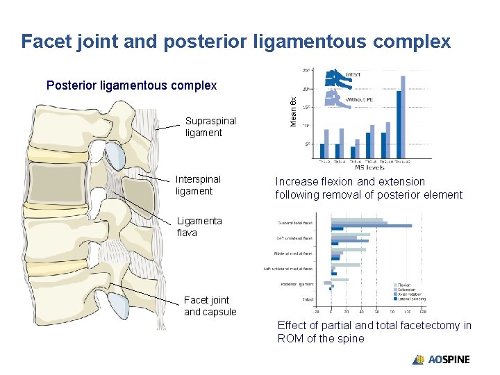 Facet joint and posterior ligamentous complex Supraspinal ligament Interspinal ligament Mean θx Posterior ligamentous