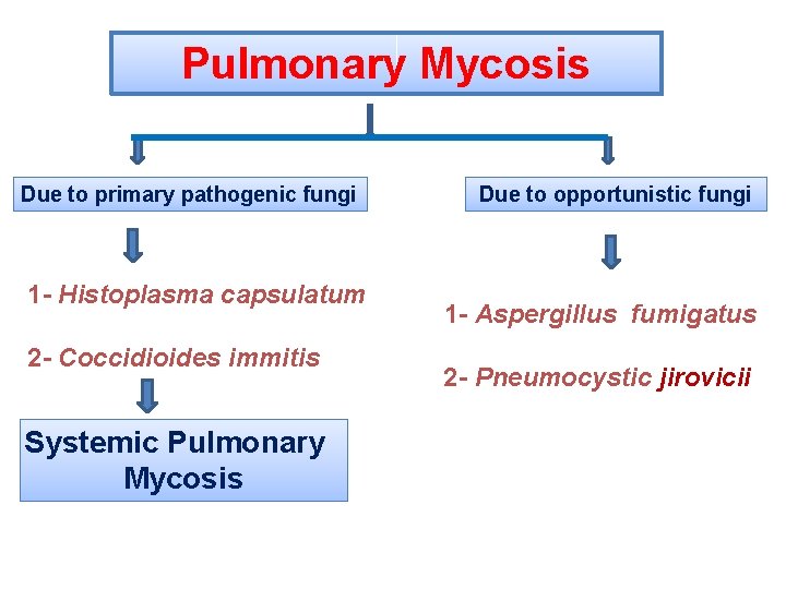 Pulmonary Mycosis Due to primary pathogenic fungi 1 - Histoplasma capsulatum 2 - Coccidioides Pulmonary Mycosis Due to primary pathogenic fungi 1 - Histoplasma capsulatum 2 - Coccidioides