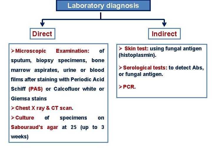 Laboratory diagnosis Direct ØMicroscopic Indirect Examination: of sputum, biopsy specimens, bone marrow aspirates, urine Laboratory diagnosis Direct ØMicroscopic Indirect Examination: of sputum, biopsy specimens, bone marrow aspirates, urine