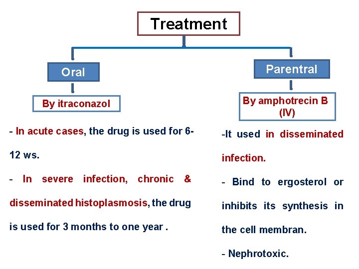 Treatment Oral By itraconazol Parentral By amphotrecin B (IV) - In acute cases, the Treatment Oral By itraconazol Parentral By amphotrecin B (IV) - In acute cases, the