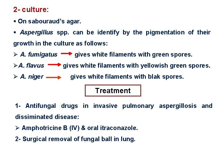 2 - culture: § On sabouraud’s agar. § Aspergillus spp. can be identify by 2 - culture: § On sabouraud’s agar. § Aspergillus spp. can be identify by