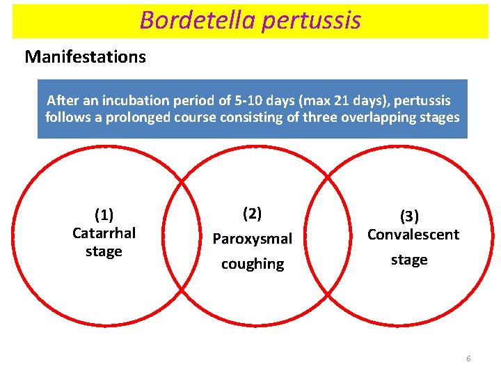 Bordetella pertussis Manifestations After an incubation period of 5 -10 days (max 21 days), Bordetella pertussis Manifestations After an incubation period of 5 -10 days (max 21 days),