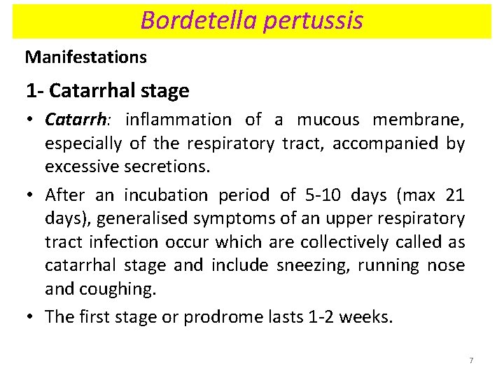 Bordetella pertussis Manifestations 1 - Catarrhal stage • Catarrh: inflammation of a mucous membrane, Bordetella pertussis Manifestations 1 - Catarrhal stage • Catarrh: inflammation of a mucous membrane,