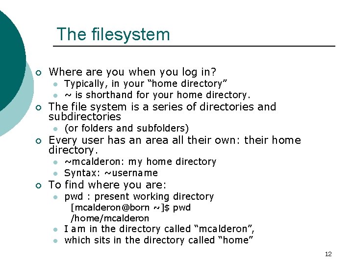 The filesystem ¡ Where are you when you log in? l l ¡ The