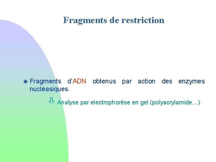 Fragments de restriction u Fragments d’ADN obtenus par action des enzymes nucléasiques. Analyse par