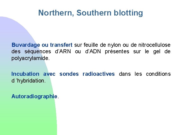 Northern, Southern blotting Buvardage ou transfert sur feuille de nylon ou de nitrocellulose des