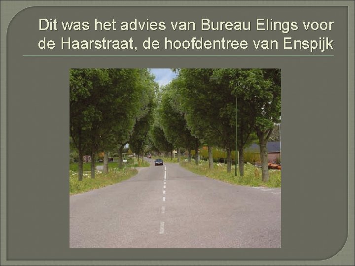 Dit was het advies van Bureau Elings voor de Haarstraat, de hoofdentree van Enspijk