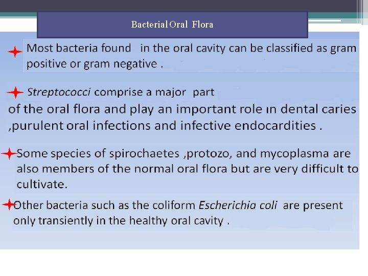 Bacterial Oral Flora 