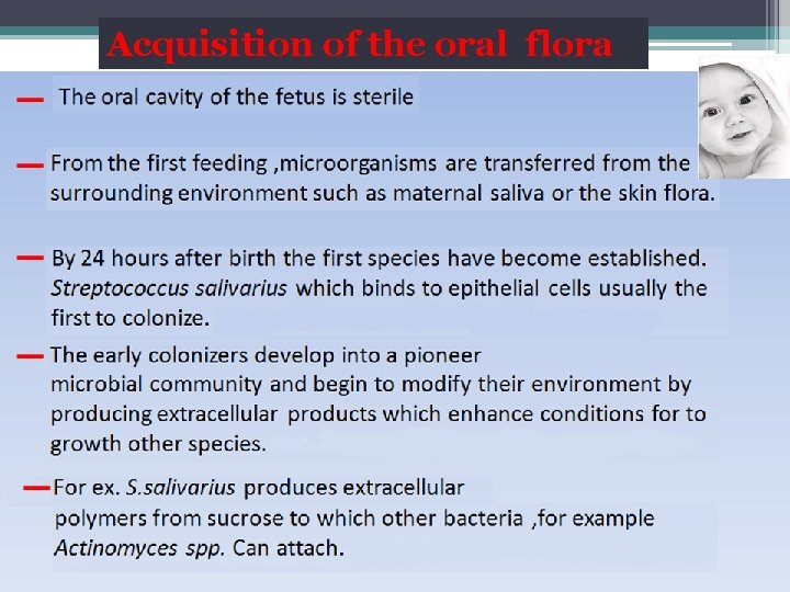 Acquisition of the oral flora 