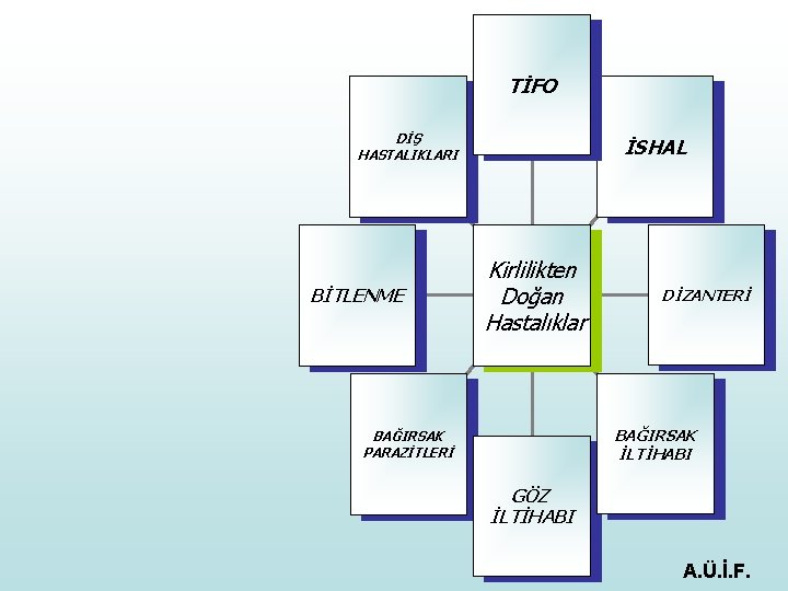 TİFO DİŞ HASTALIKLARI BİTLENME İSHAL Kirlilikten Doğan Hastalıklar DİZANTERİ BAĞIRSAK İLTİHABI BAĞIRSAK PARAZİTLERİ GÖZ