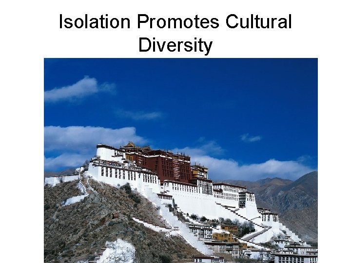 Isolation Promotes Cultural Diversity 