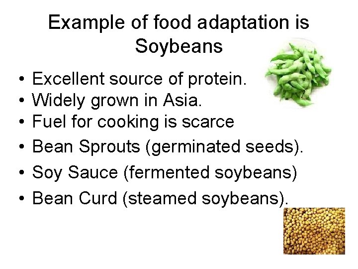 Example of food adaptation is Soybeans • • • Excellent source of protein. Widely