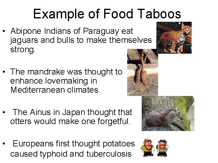 Example of Food Taboos • Abipone Indians of Paraguay eat jaguars and bulls to