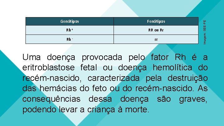 Fenótipos Rh + RR ou Rr Rh - rr Imagem: SEE-PE Genótipos Uma doença