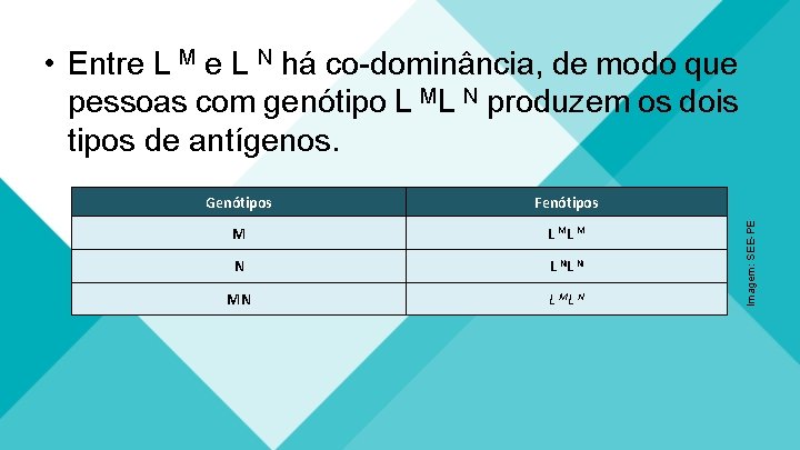 Genótipos Fenótipos M L ML M N L NL N MN L ML N