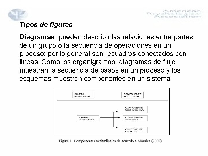 Tipos de figuras Diagramas pueden describir las relaciones entre partes de un grupo o