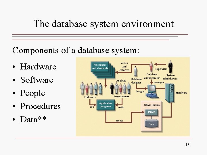 The database system environment Components of a database system: • • • Hardware Software The database system environment Components of a database system: • • • Hardware Software