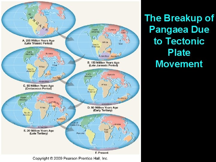 Figure 7. A The Breakup of Pangaea Due to Tectonic Plate Movement 