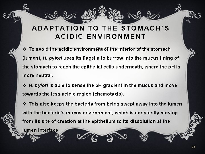 ADAPTATION TO THE STOMACH’S ACIDIC ENVIRONMENT v To avoid the acidic environment of the