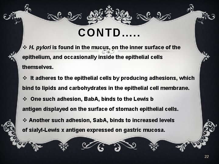 CONTD…. . v H. pylori is found in the mucus, on the inner surface