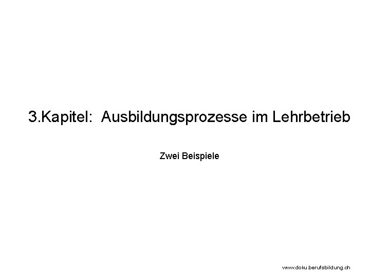 3. Kapitel: Ausbildungsprozesse im Lehrbetrieb Zwei Beispiele www. doku. berufsbildung. ch 