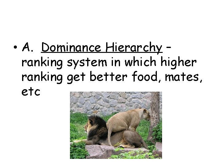  • A. Dominance Hierarchy – ranking system in which higher ranking get better