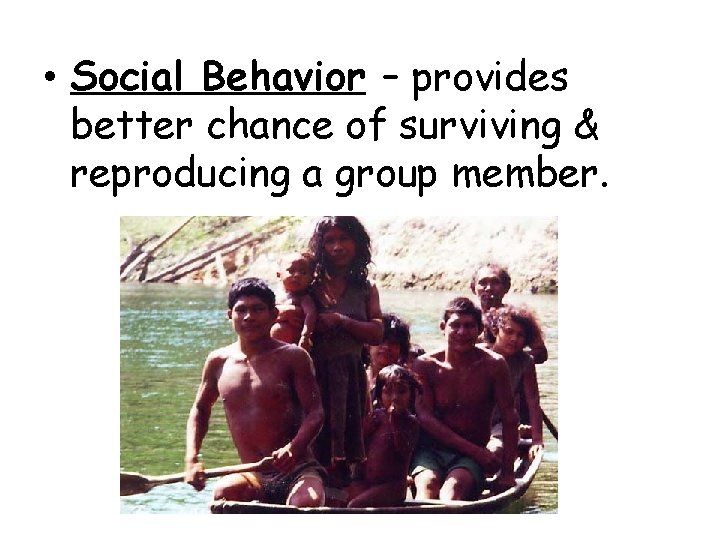  • Social Behavior – provides better chance of surviving & reproducing a group