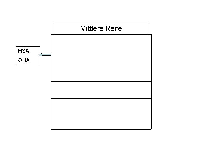 Mittlere Reife 9/M 9 8/M 8 7/M 7 6 5 Sozial QUA Technik HSA