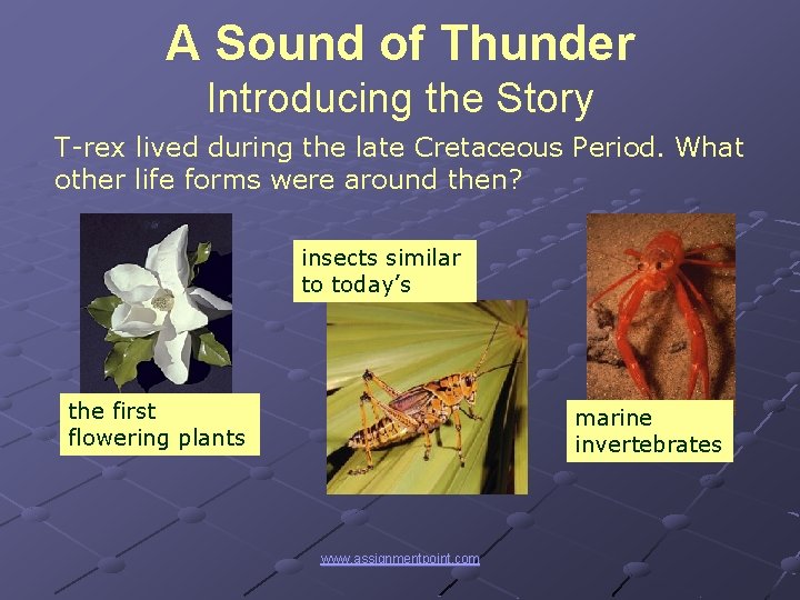 A Sound of Thunder Introducing the Story T-rex lived during the late Cretaceous Period.