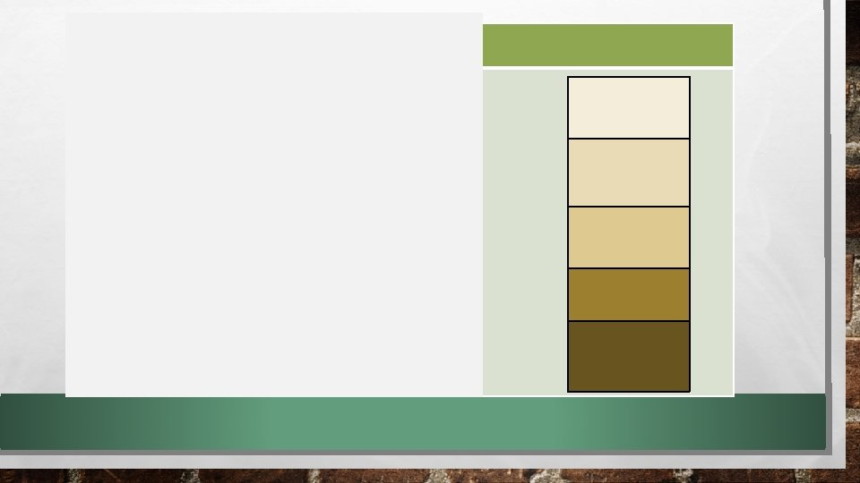 Skin color 1. Fair-skinned 2. Light-skinned 3. Olive-skinned 4. Tan-skinned 5. Dark-skinned 