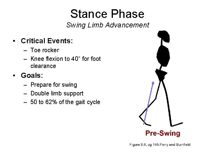 Stance Phase Swing Limb Advancement • Critical Events: – Toe rocker – Knee flexion